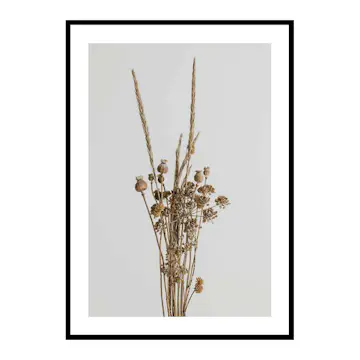 Poster Gallerix Dried Bouquet No1