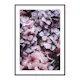Poster Gallerix Pink Hydrangea