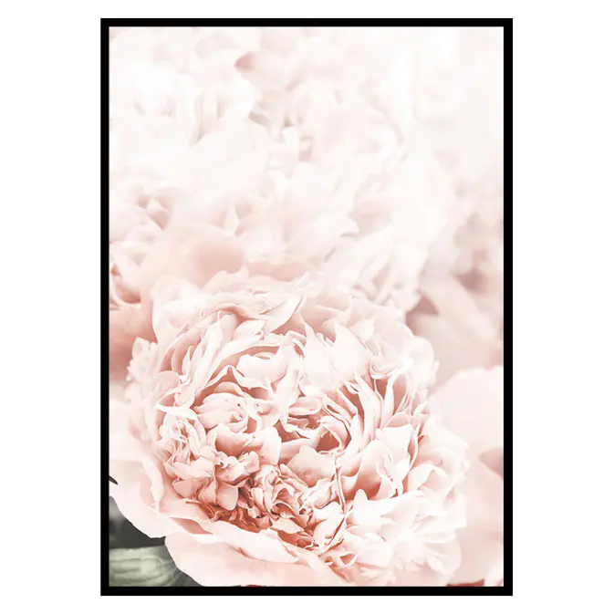 Poster Gallerix Loving Roses No1