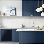 Panel Samsung DW-S24PEU12 Till Diskmaskin