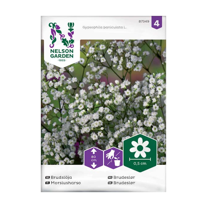 Frö Brudslöja Nelson Garden Enkel Vit