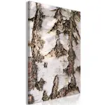 Tavla Arkiio Beautiful Structure