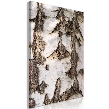 Tavla Arkiio Beautiful Structure