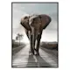 Poster Gallerix Elephant Road
