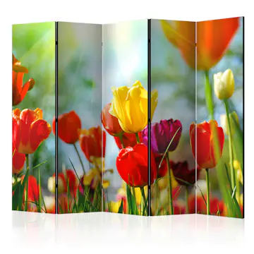 Rumsavdelare Skärmvägg Arkiio Spring Tulips II 225x172 cm