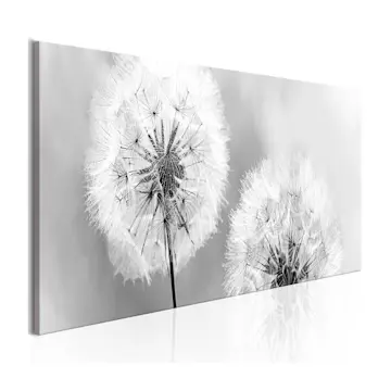 Tavla Arkiio Summer Memories