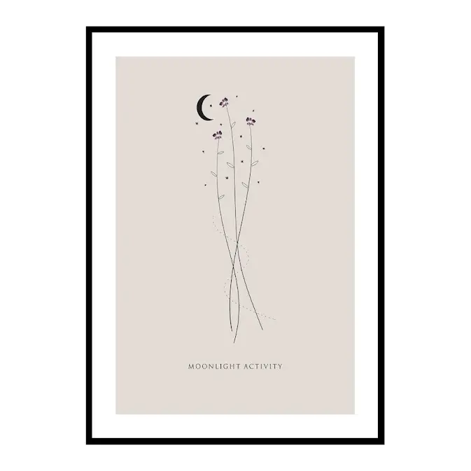 Poster Gallerix Moonlight Activity No3