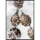 Poster Gallerix Winter Pine Cones