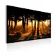 Tavla Arkiio Forest Dawn