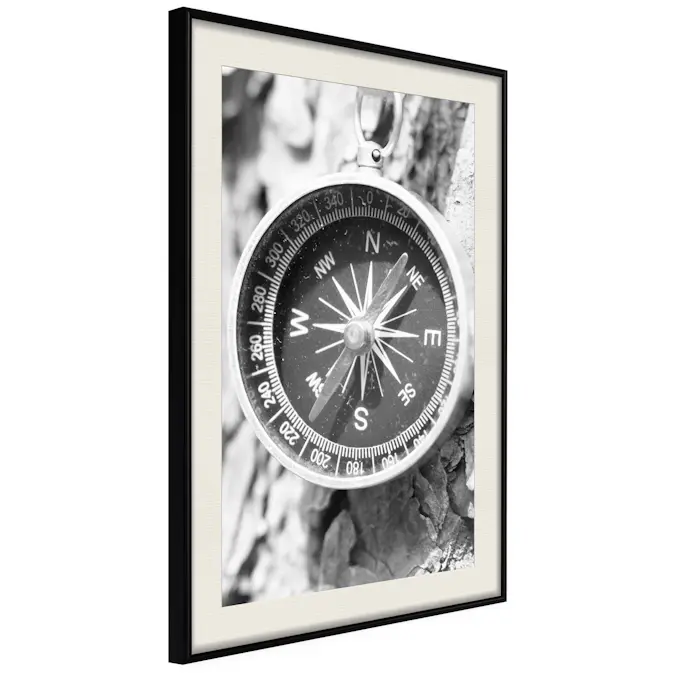 Poster Artgeist Affisch Black and White Compass