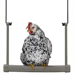 Hönsgunga Ryom Plast