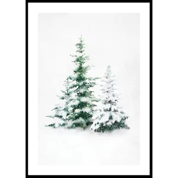 Poster Gallerix Watercolor Evergreen Trees