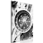 Tavla Arkiio Black and White Compass