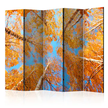 Rumsavdelare Skärmvägg Arkiio Autumnal Treetops II 225x172 cm