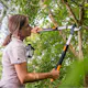 Grensax Fiskars L86 Teleskop Smart Fit