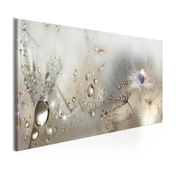 Tavla Arkiio Morning Song