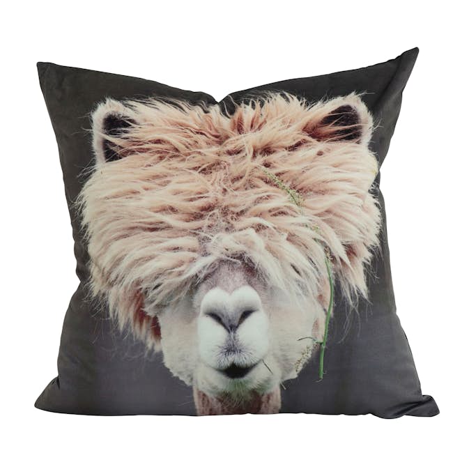 Kuddfodral Svanefors Mr Lama