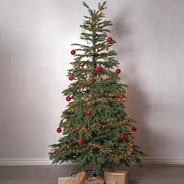 Plastgran Star Trading Edane 210 cm