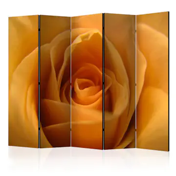 Rumsavdelare Skärmvägg Arkiio Yellow Rose – A Symbol Of Friendship II 225x172 cm
