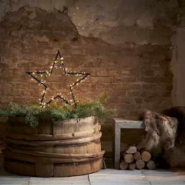 Utomhusdekoration Star Trading Spiky