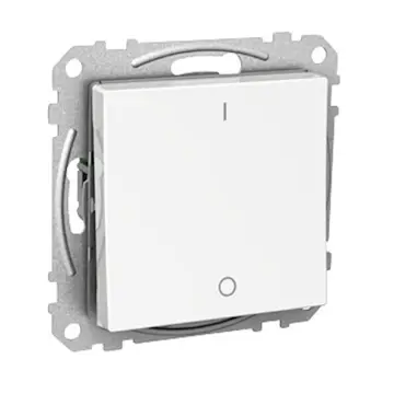 Strömbrytare Schneider Electric Exxact 2-pol Infälld