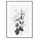Poster Gallerix Rose Bouquet No2
