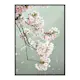 Poster Gallerix Cherry Blossom