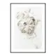 Poster Gallerix Peony Petals No1