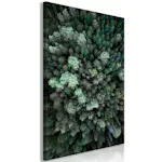 Tavla Arkiio Flying Over Forest