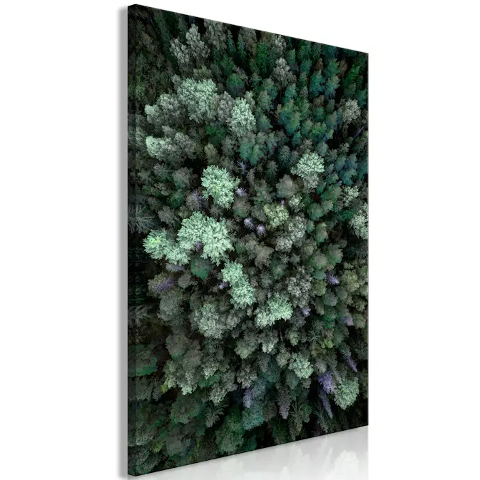 Tavla Arkiio Flying Over Forest