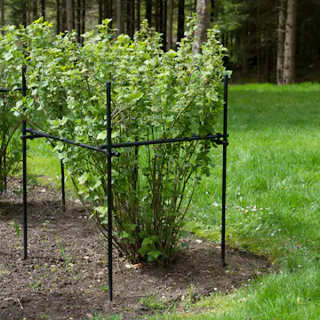 Buskstöd Flexigarden