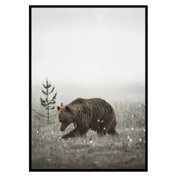 Poster Gallerix Winter Bear