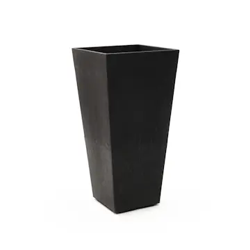 Blomkruka Recal Sonata