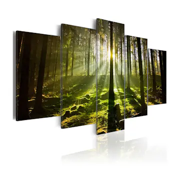 Tavla Arkiio Spring Silence