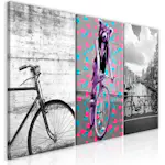 Tavla Arkiio Bikes (Collection)