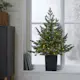 Bordsdekoration Star Trading GranGreyland95 cm 80Lb