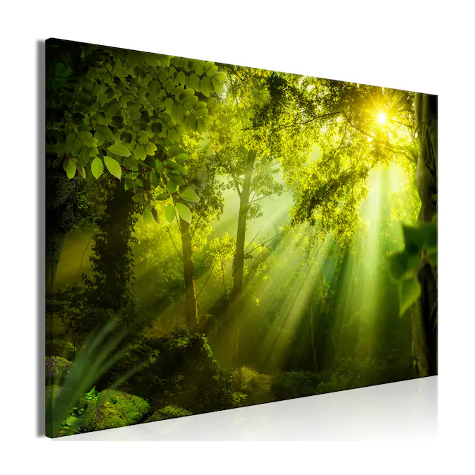 Tavla Arkiio In The Sunshine