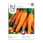 Frö Höst- och Vintermorot Nelson Garden Flakkée 2