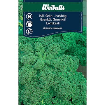 Frö Kål Weibulls Grönkål