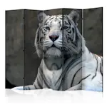 Rumsavdelare Skärmvägg Arkiio Bengali Tiger In Zoo II 225x172 cm