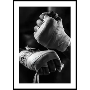 Poster Gallerix Ready To Fight