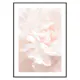 Poster Gallerix Tender Flowers No1