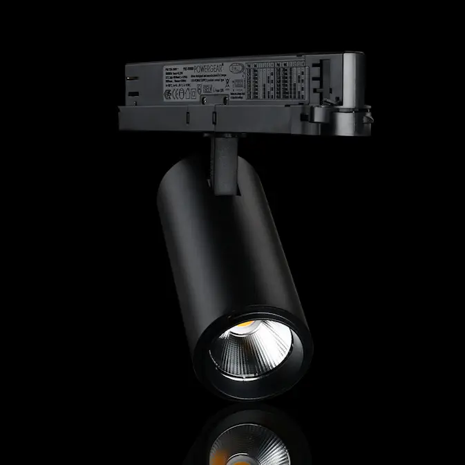 Spotlight Designlight Tracklight P Dali