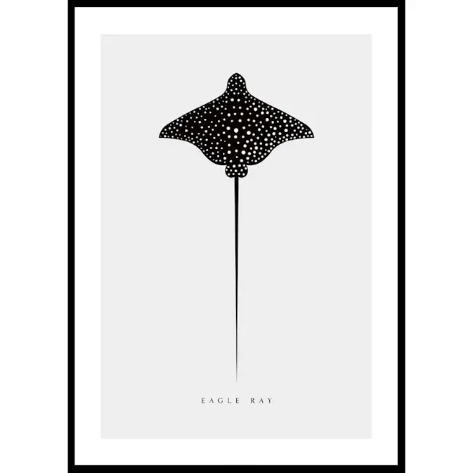 Poster Gallerix Eagle Ray