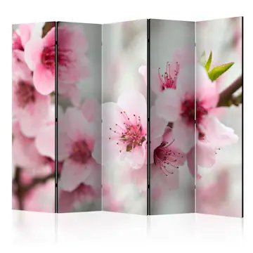 Rumsavdelare Skärmvägg Arkiio Spring Blooming Tree Pink Flowers II 225x172 cm