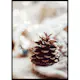 Poster Gallerix Fir Cone