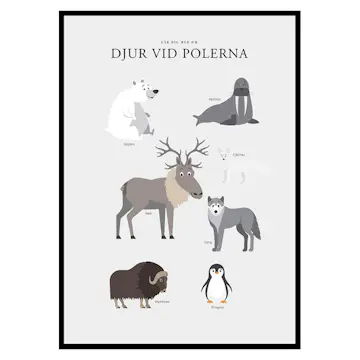 Poster Gallerix Djur Vid Polerna