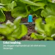 Ytspridare Gardena Micro-Drip Inline