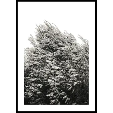 Poster Gallerix Bush Of Plants