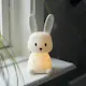 NattlampaLED Star Trading Functional Bunny